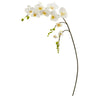 Nearly Natural 43`` Phalaenopsis Orchid Artificial Flower (Set of 6)