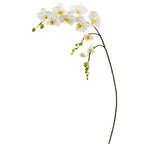 Nearly Natural 43`` Phalaenopsis Orchid Artificial Flower (Set of 6)