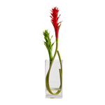 Nearly Natural A1501 20” Star Bromeliad Artificial Arrangement in Glass Vases