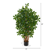 Nearly Natural T1528 3.5` Black Olive Artificial Trees