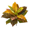 Nearly Natural 2297-S4 21" Artificial Real Touch Garden Croton Plant, Multicolor, Set of 4