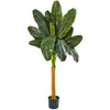 Nearly Natural 9125 6' Artificial Green Banana Tree in Black Pot