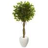 Nearly Natural 5779 4.5' Artificial Green Ficus Tree in White Oval Planter, UV Resistant (Indoor/Outdoor)