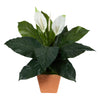 Nearly Natural P1612 2’ Spathiphyllum Artificial Plant in Terra-Cotta Planters