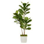 Nearly Natural T2487 5.5` Fiddle Leaf Artificial Tree in White Metal Planter