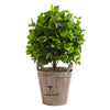 Nearly Natural 9091 2.5' Artificial Green Ficus Tree in Farmhouse Planter