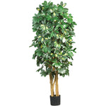 Nearly Natural 5` Schefflera Silk Tree