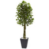 Nearly Natural 5948 6.5' Aritificial Green Ficus Tree with Slate Planter, UV Resistant (Indoor Outdoor)