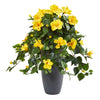 Nearly Natural 8693 28" Artificial Green & Yellow Hibiscus Plant in Gray Planter
