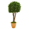 Nearly Natural 9697 50" Artificial Green Boxwood Topiary Tree in Terra-Cotta Planter, UV Resistant (Indoor/Outdoor)