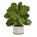 Nearly Natural 15`` Fiddle Leaf Artificial Tree in White Planter