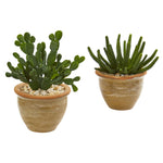 Nearly Natural 8516-S2 11" Artificial Green Cactus Succulent Plant in Ceramic Vase, Set of 2