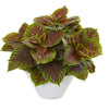 Nearly Natural 8501 16" Artificial Green & Brown Real Touch Coleus Plant in White Planter 