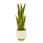 Nearly Natural 9774 27" Artificial Green Sansevieria Plant in Designer Bowl