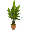 Nearly Natural 9270 5' Artificial Green Travelers Palm Tree in Terra Cotta Planter