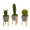 Nearly Natural P1080-S3 15" Artificial Green Mixed Cactus Plant in Tin Planter with Legs, Set of 3