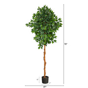 Nearly Natural T1441 6’ Ficus Artificial Trees