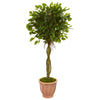 Nearly Natural 5776 4.5' Artificial Green Ficus Tree in Terracotta Planter, UV Resistant (Indoor/Outdoor)