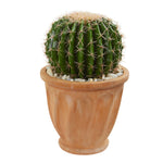 Nearly Natural 8124 19" Artificial Green Cactus Plant in Terra Cotta Planter