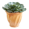 Nearly Natural 8475 13" Artificial Green Giant Echeveria Succulent Plant in Terra Cotta Planter