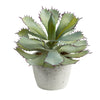 Nearly Natural P1516 11” Succulent Artificial Plants