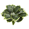 Nearly Natural 6203-S6 23" Artificial Green Variegated Hosta Plant, Set of 6