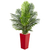 Nearly Natural 5659 5' Artificial Green Paradise Palm Tree in Red Planter