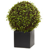 Nearly Natural 6395 13" Artificial Green Mohlenbechia Ball Plant in Black Cube