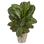 Nearly Natural 8427 26" Artificial Green Maranta Plant in Weathered Oak Planter