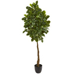 Nearly Natural 9112 5' Artificial Green Beech Leaf Tree in Black Planter