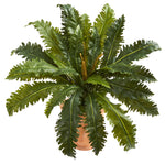 Nearly Natural 8224 27" Artificial Green Marginatum Plant in Terra Cotta Planter