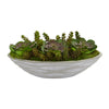 Nearly Natural 8249 8" Artificial Green Succulent Garden Plant in Ceramic Planter