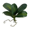 Nearly Natural 2355-S4 12`` Phalaenopsis Orchid Foliage Artificial Leaf (Set of 4)