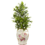 Nearly Natural 8587 21" Artificial Green Boxwood Plant in Floral Jar