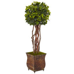 Nearly Natural 5838 30" Artificial Green English Ivy Tree in Planter, UV Resistant (Indoor/Outdoor)