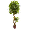 Nearly Natural 5511 6' Artificial Green Jingo Tree, UV Resistant (Indoor/Outdoor)