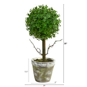 Nearly Natural T2032 20`` Eucalyptus Single Ball Topiary Artificial Trees