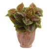 Nearly Natural 8502 17" Artificial Green Real Touch Coleus Plant in Terra Cotta Planter 