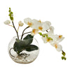 Nearly Natural A1422 13” Phalaenopsis Orchid Artificial Arrangement in Glass Vases