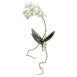 Nearly Natural 2232-S6 13" Artificial White Mini Orchid Phalaenopsis Flower, Set of 6