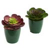 Nearly Natural 8208-S2 6" Artificial Green & Maroon Echeveria Succulent Plant in Green Planter, Set of 2