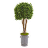 Nearly Natural 9694 55" Artificial Green Boxwood Topiary Tree in Planter, UV Resistant (Indoor/Outdoor)