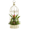 Nearly Natural 19`` Bromeliad & Succulent Artificial Arrangement in Bird Cage