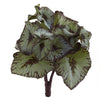 Nearly Natural 6129-S12 8" Artificial Green Rex Begonia Bush, Set of 12