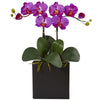 Nearly Natural Double Mini Phalaenopsis in Black Vase