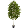 Nearly Natural 5489 6' Artificial Green Birch Tree