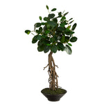 Nearly Natural T2793 2` Ficus Bonsai Artificial Tree in Decorative Planters