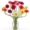 Nearly Natural Gerber Daisy Liquid Illusion Silk Flower Arrangement