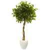 Nearly Natural 5775 5.5' Artificial Green Ficus Tree in White Oval Planter, UV Resistant (Indoor/Outdoor)