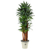 Nearly Natural T2171 69” Dracaena Artificial Tree in Decorative Planters